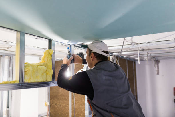 Best Residential Insulation in Normandy, MO
